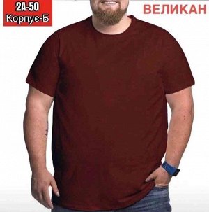 РАСПРОДАЖА МУЖСКАЯ ФУТБОЛКА ТКАНЬ ХЛОПОК