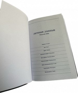 Ежедневник женский недатированный в клетку "Womens notes" 21*15 см