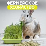 Фермерское хозяйство