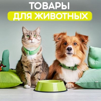 ASIA SHOP Товары для животных