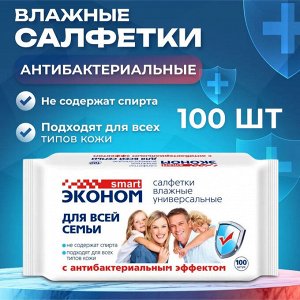 Эконом smart Салфетки влажные универсальные "Для всей семьи" без клапана 100 шт