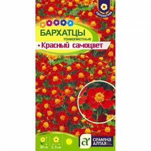 Бархатцы Красный Самоцвет тонколистн. 0,1 гр