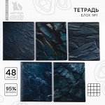 Тетрадь в клетку, 48 листов А5 на скрепке 5 шт., внутренний блок №1 МИКС «1 сентября: Камень» твин лак, уф лак