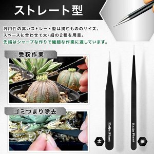 Kaiju Plant Succulent Tool Set - набор инструментов для пересадки суккулентов