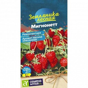 Земляника Мигнонетт ремонтантная 5 шт