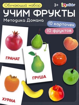 Обучающий набор по методике Г. Домана «Фрукты»: 10 карточек + 10 фруктов, счётный материал, МИКС