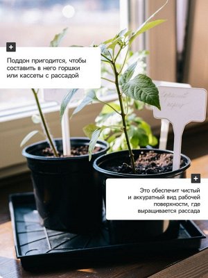 Поддон для рассады, 21x21x1.7 см, пластик, чёрный