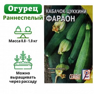 Семена Кабачок цуккини "Фарао", 2 г
