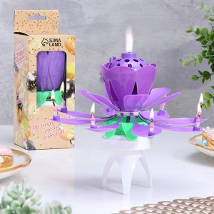 Свеча для торта музыкальная ""Тюльпан"", крутящаяся, фиолетовая, 14,5×6 см