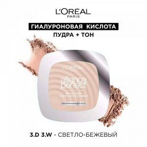 Пудра компактная Совершенное слияние  Alliance Perfect
