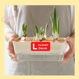 COSMOСOLLECTION_GIFTS Контейнер для выращивания микрозелени, проращиватель  - L