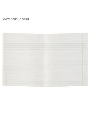 Тетрадь 48 листов в линейку Calligrata «Мегаполис», обложка мелованная бумага, блок №2, белизна 75% (серые листы), МИКС