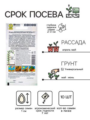 Семена огурца "Великолепная пятерка", F1, 10 шт.