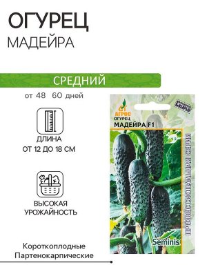 Семена Огурец"Мадейра"F1 8шт* Seminis
