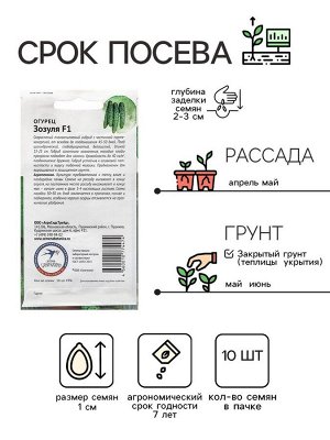 Семена Огурец "Зозуля", 10 шт