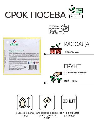 Семена Огурец Наташа F1, семена Дарит Black Edition 20шт