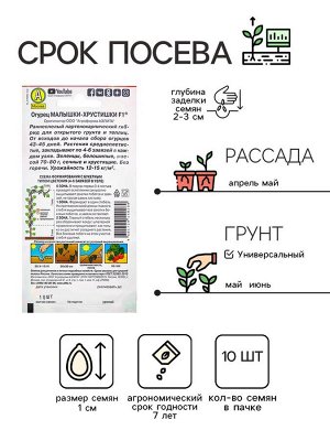 Семена Огурец "Малышки-Хрустишки" F1, раннеспелый, партенокарпический, 10 шт