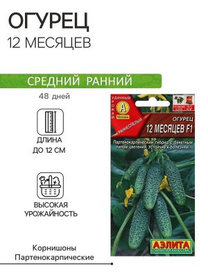 Семена огурца "12 месяцев", F1, 10 шт.