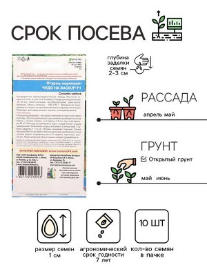 Семена Огурец "Чудо на засол", корнишон, F1, 10 шт