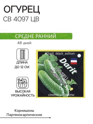 Семена Огурец СВ 4097 F1, семена Дарит Black Edition 6шт