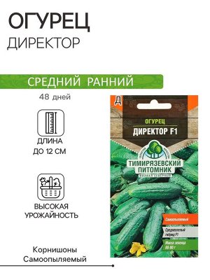 Семена огурца "Директор", F1, 4 шт.