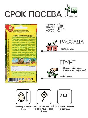 Семена Огурец "Китайский пломбир", F1, 7 шт