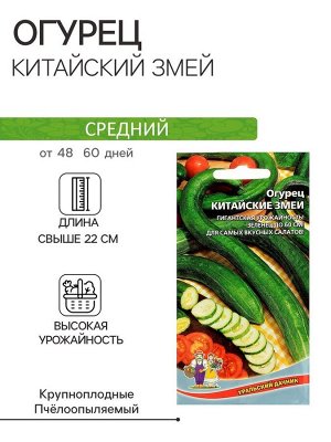 Семена Огурец "Китайский Змей", среднепоздний, пчелоопыляемый, 10 шт