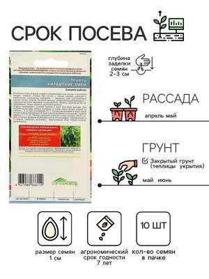 Семена Огурец "Китайский Змей", среднепоздний, пчелоопыляемый, 10 шт