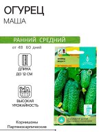 Семена Огурец &quot;Маша&quot; F1, партенокарпический, 5 шт.