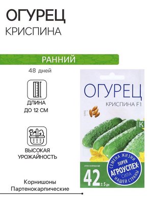 Семена Огурец «Криспина», F1, Агроуспех, 7 шт.