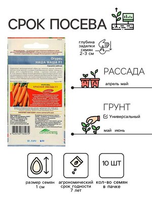 Семена Огурец "Наша Маша" F1 раннеспелый, партенокарпический, 10 шт
