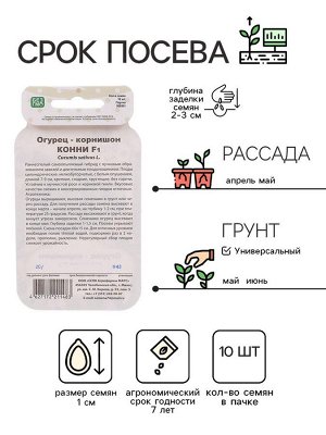 Семена Огурец "Конни", F1, серия Банка, 10 шт