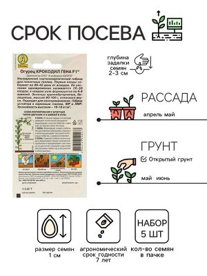 Семена Огурец "Крокодил Гена" F1, ультраранний, партенокарпический,набор 5 шт