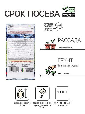 Семена Огурец "Сашенька", корнишон, F1, 10 шт