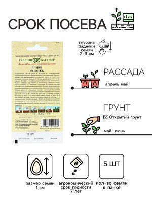 Семена Огурец "Зятек" F1, скороспелый, партенокарпический,набор 5 шт