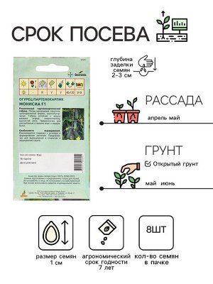 Семена Огурец"Монисиа"F1 8шт* Seminis
