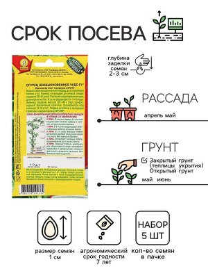 Семена Огурец "Необыкновенное чудо" F1, раннеспелый, партенокарпический,набор 5 шт