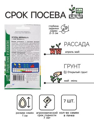 Семена огурец "Меренга F1", 7 шт.