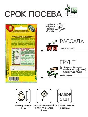 Семена Огурец "Пучковое очарование", F1,набор 5 шт