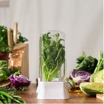 Товары для кухни! Всё для дома! Большой выбор! Выгодно