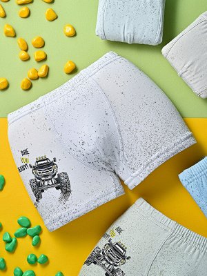Трусы Цвет: мультиколор
Комплектация: Трусы
Модель трусов: боксеры
Сезон: круглогодичный
Состав: 95% хлопок; 5% эластан
Тип посадки: Средняя
Уход за вещами: стирка при t не более 40С
Фактура материала