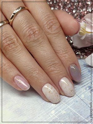 Гель-лак с поталью Potal Planet Nails 8мл №364