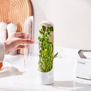 Контейнер для хранения зелени с отделением для воды