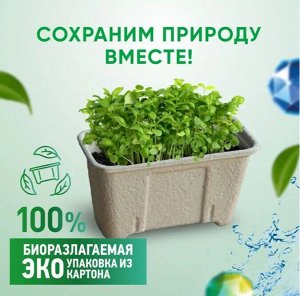 БиМакс капсулы Колор 12 шт (картон)