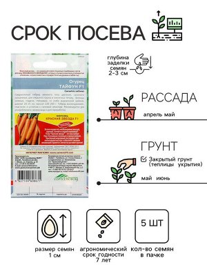 Семена Огурец "Тайфун" F1, раннеспелый, партенокарпический, 5 шт