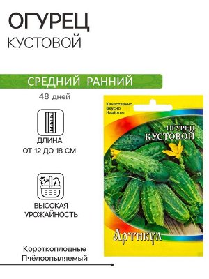 Семена Огурец "Кустовой" скороспелый, 0,5 г