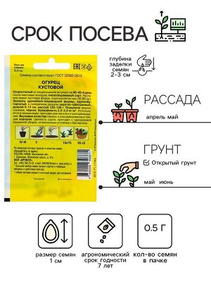 Семена Огурец "Кустовой" скороспелый, 0,5 г