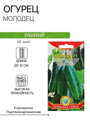 Семена Огурец "Молодец", F1, 6 шт