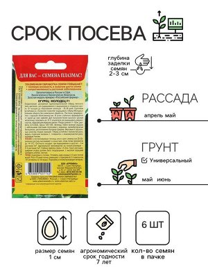Семена Огурец "Молодец", F1, 6 шт
