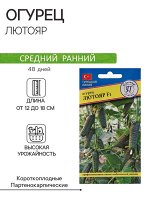 Семена Огурец &quot;Лютояр&quot; F1, 5 шт